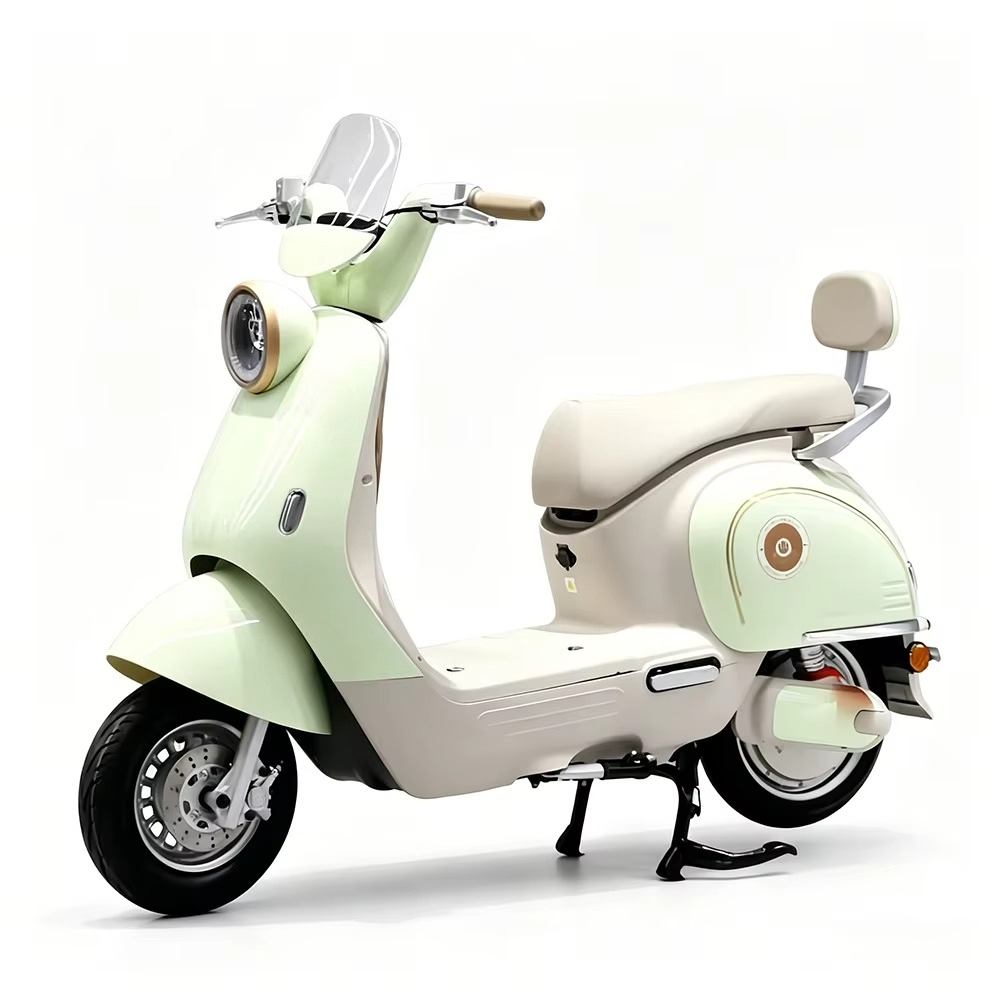 EER製、大人用電動バイク。ディスクブレーキ搭載。大人向けの - Brake Disc Motorcycle のレビューと価格